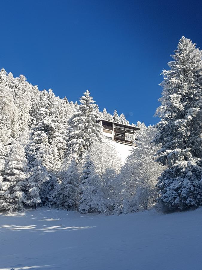 Haus Auer Apartment *